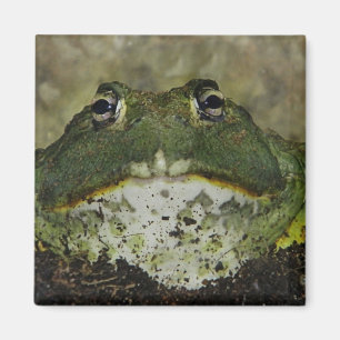 Wil je even afvlakken? magneet