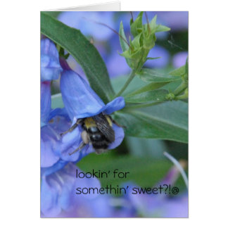 Wil je iets zoets zoeken?