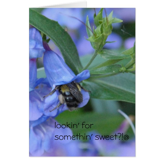 Wil je iets zoets zoeken? (Voorkant)