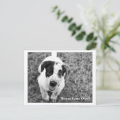 Wil je langskomen? briefkaart (Staand voorkant)