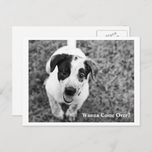 Wil je langskomen? briefkaart (Voorkant / Achterkant)