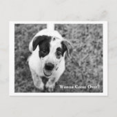 Wil je langskomen? briefkaart (Voorkant)