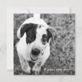 Wil je langskomen? kaart (Voorkant)