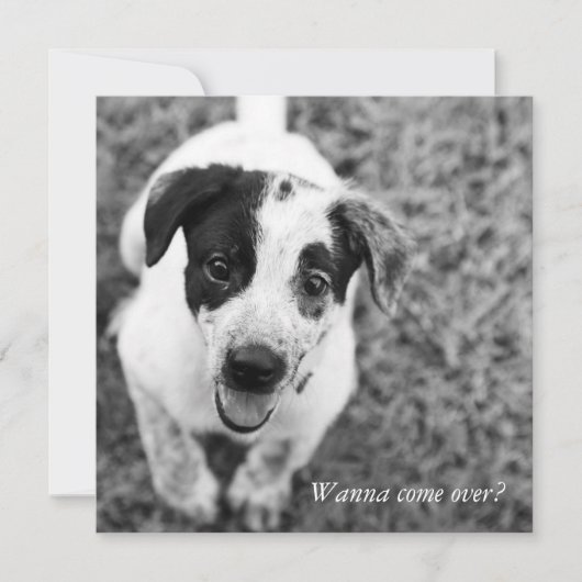 Wil je langskomen? kaart (Voorkant)