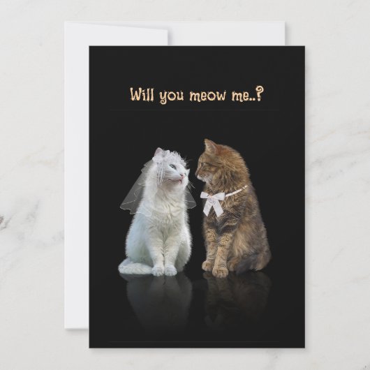 Wil je me miauwen..? Kaart (Voorkant)