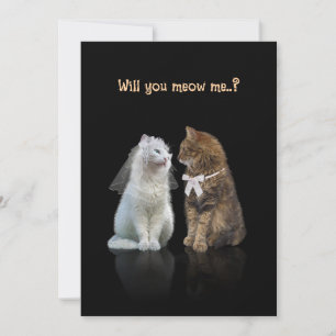 Wil je me miauwen..? Kaart