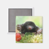 Wil je met me trouwen? magneet (Voorkant / Achterkant)