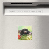 Wil je met me trouwen? magneet (Insitu (Vaatwasser))