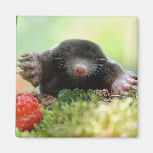 Wil je met me trouwen? magneet (Voorkant)