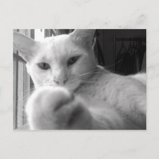 "Wil je mijn pag?" Briefkaart