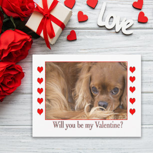 Wil je mijn Valentijnsdag Spaniek Postkaart zijn Feestdagenkaart