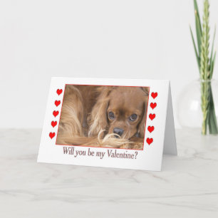 Wil je mijn Valentijnsdag Spaniel Kaart zijn
