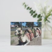 Wil je naar een Ride? Briefkaart (Staand voorkant)