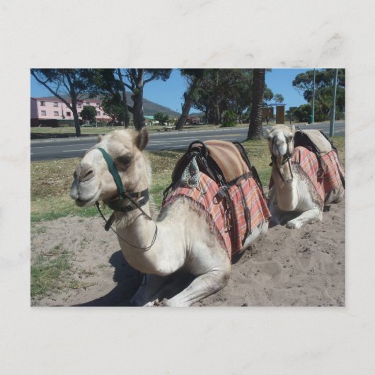 Wil je naar een Ride? Briefkaart (Voorkant)