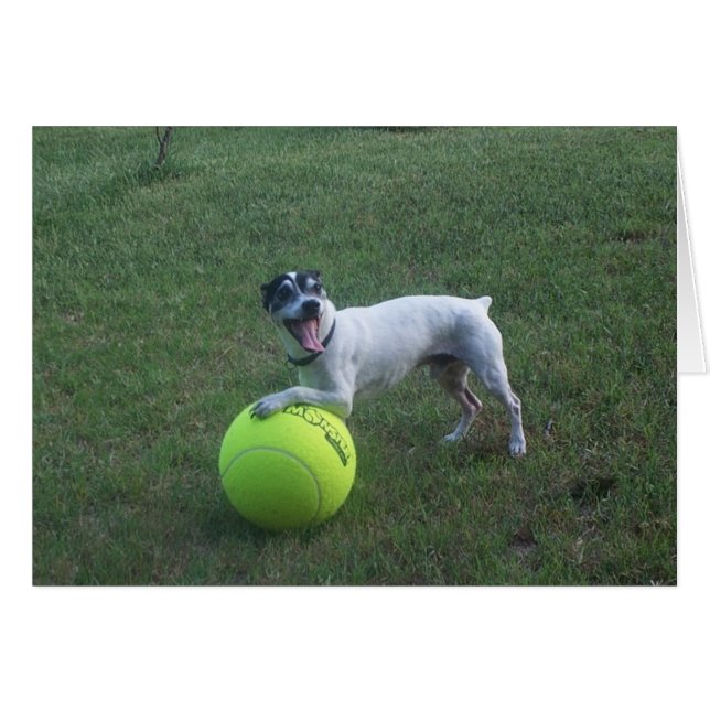 Wil je spelen? (Voorkant Horizontaal)