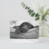 Wil je spelen? briefkaart (Staand voorkant)