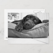 Wil je spelen? briefkaart (Voorkant / Achterkant)