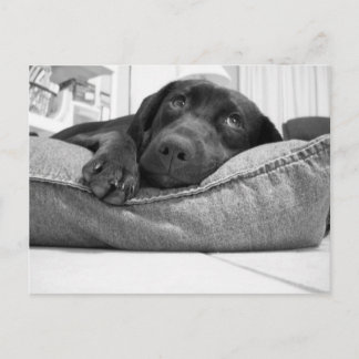 Wil je spelen? briefkaart