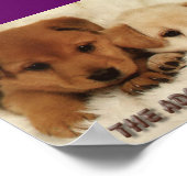 Wil je wachten om een dier te adopteren? poster (Hoek)