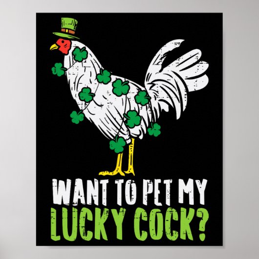Wil Mijn Geluksdier Aaien Leuke St. Patrick Dag Ma Poster (Voorkant)