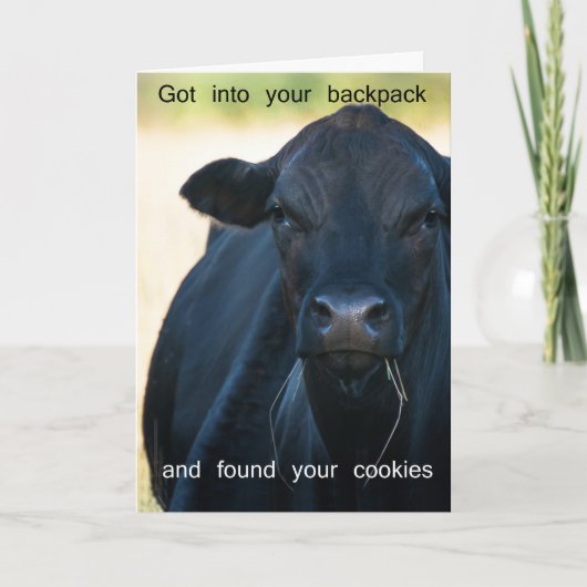 Wil s'more koekjes kaart (Voorkant)