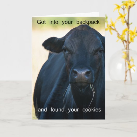 Wil s'more koekjes kaart (Gele Bloem)