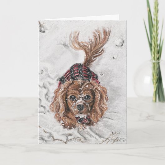 Wil spelen? feestdagen kaart (Voorkant)