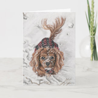 Wil spelen? feestdagen kaart