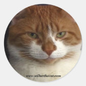 Wilber Sticker (Voorkant)