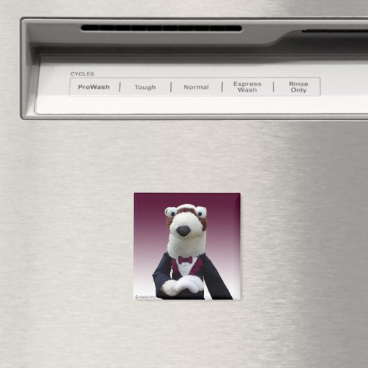 Wilberforce Magnet (Insitu (Vaatwasser))