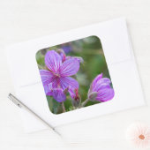 Wilbloemen met fijne geraniumbloemen vierkante sticker (Envelop)