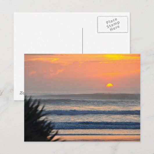 Wilbur door het Zee Palm Sunrise Florida Briefkaar Briefkaart (Voorkant / Achterkant)