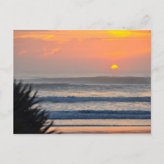 Wilbur door het Zee Palm Sunrise Florida Briefkaar Briefkaart