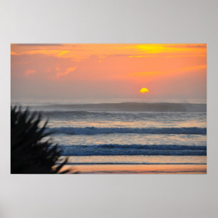 Wilbur door het Zee Palm Sunrise Florida Poster