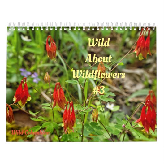 Wild Abourt Wildbloemen #3 Kalendar Kalender (Hoes)