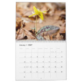 Wild Abourt Wildbloemen #3 Kalendar Kalender (Jan 2027)