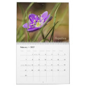 Wild Abourt Wildbloemen #3 Kalendar Kalender (Feb 2027)