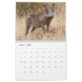 Wild Africa Calendar Kalender (Mar 2027)