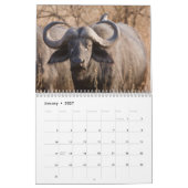 Wild Africa Calendar Kalender (Jan 2027)