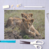 Wild African Lion Cubs Tissuepapier (Craft)