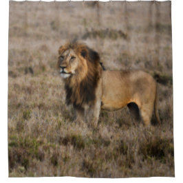 Wild African Lion douchegordijn