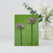 Wild Allium Flowers Briefkaart (Staand voorkant)