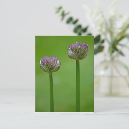 Wild Allium Flowers Briefkaart (Staand voorkant)