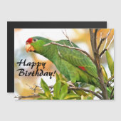Wild Amazon Parrot Bird Magnetic Birthday Card (Voorkant / Achterkant)