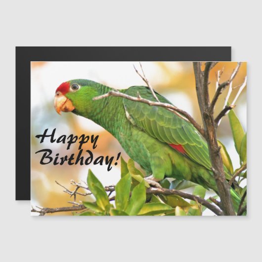 Wild Amazon Parrot Bird Magnetic Birthday Card (Voorkant / Achterkant)