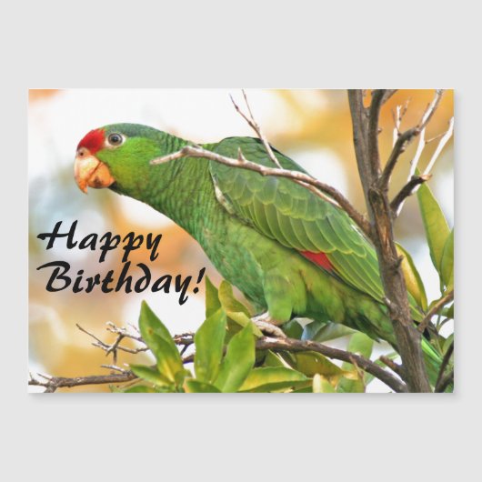 Wild Amazon Parrot Bird Magnetic Birthday Card (Voorkant)