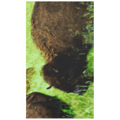 Wild American Bison Abstract impressionisme Tafelkleed (Voorkant)