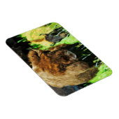 Wild American Bison met Calf Abstract Magneet (Rechterzijde)
