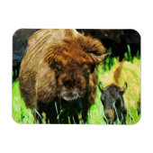 Wild American Bison met Calf Abstract Magneet (Horizontaal)