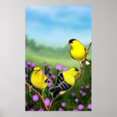 Wild American Goldfinches Print (Voorkant)